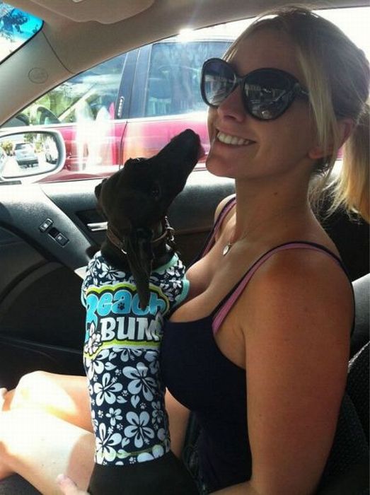 Приколы на сайте смехота ру (44 фото) Приколы на сайте смехота ру (44 фото)