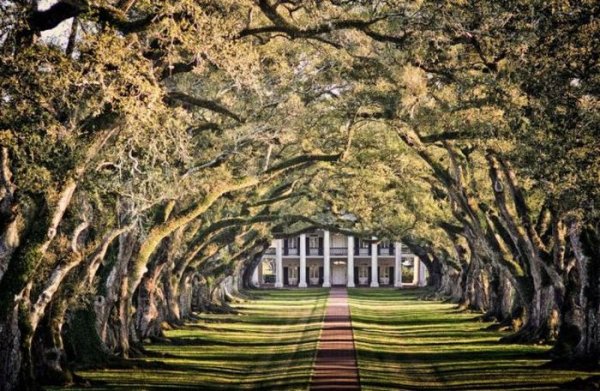 Приколы на сайте смехота ру (44 фото) Приколы на сайте смехота ру (44 фото)