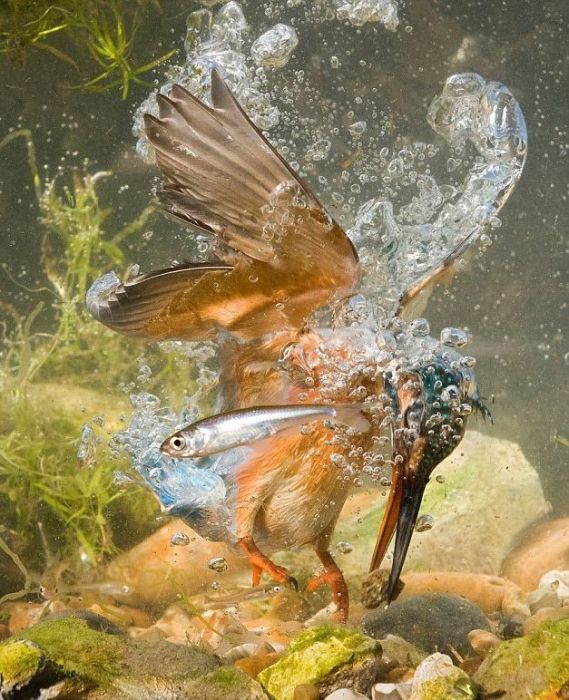 Приколы на сайте смехота ру (44 фото) Приколы на сайте смехота ру (44 фото)